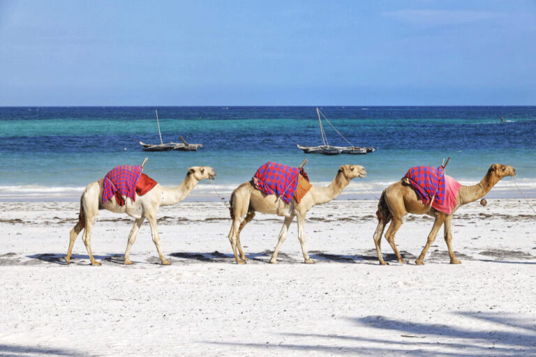 Ontdek 9 waanzinnig mooie stranden van Kenia