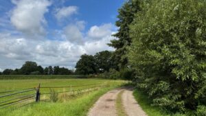Ontdek de 10 mooiste bezienswaardigheden in Hengelo!
