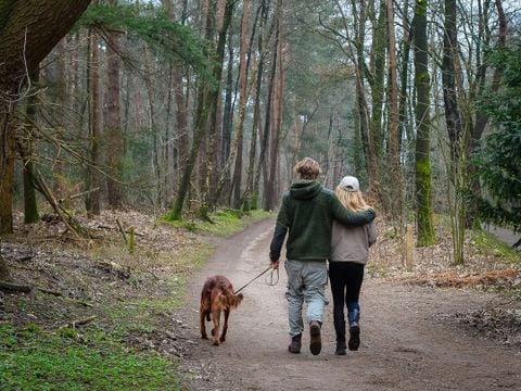 Vakantiepark Hölte