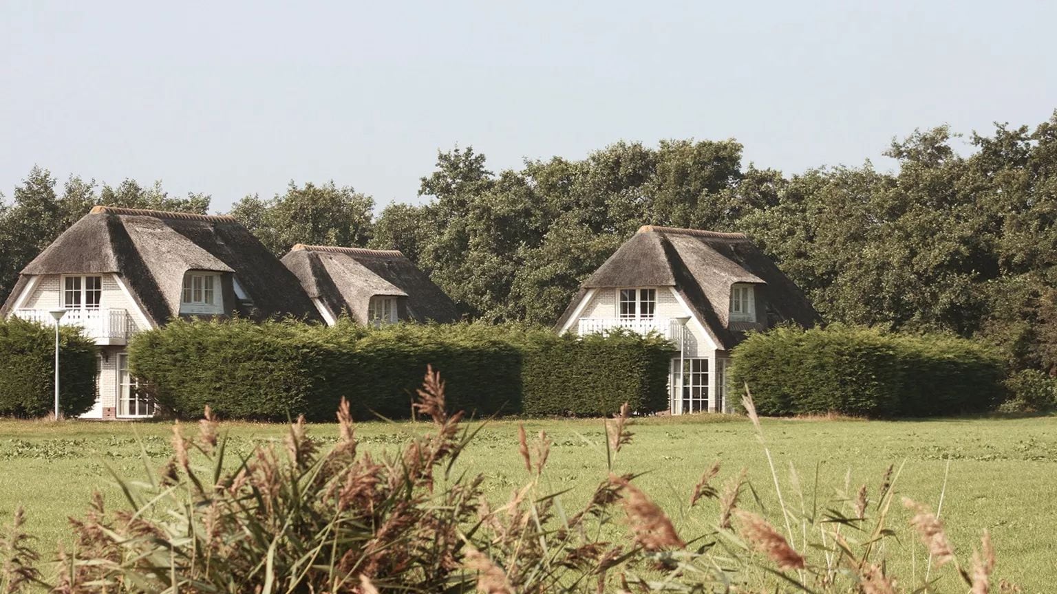 Dutchen Park Waddenduyn