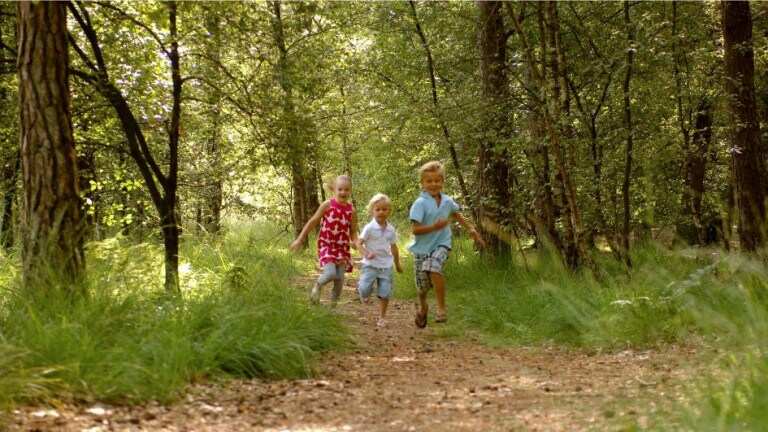 Landal Bos en Duin