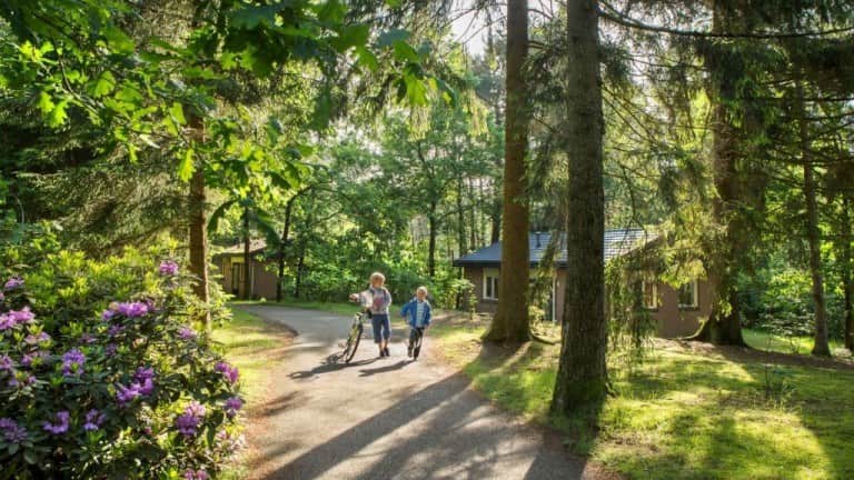 Landal Heideheuvel